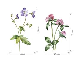 Nažehlovačka L 043 - Luční kvítí 1. (3)