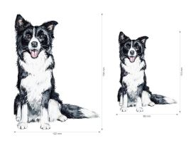 Nažehlovačka M 091 - Border kolie (2)
