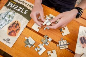 Sada puzzle - Po stopách zvěře (2)