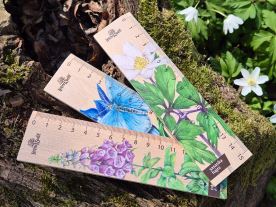 Dřevěné pravítko 15 cm - Modrásek (3)