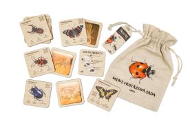 Mini frotážová sada - Hmyz