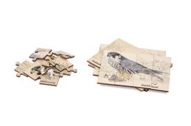 Sada puzzle - Dravci a sovy Sada puzzle - Dravci a sovy