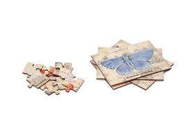 Sada puzzle - Noční a denní motýli Sada puzzle - Noční a denní motýli